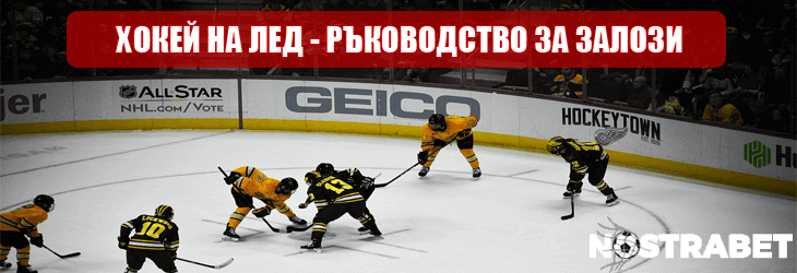 хокей на лед ръководство