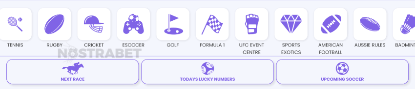 hollywoodbets sports betting coverage