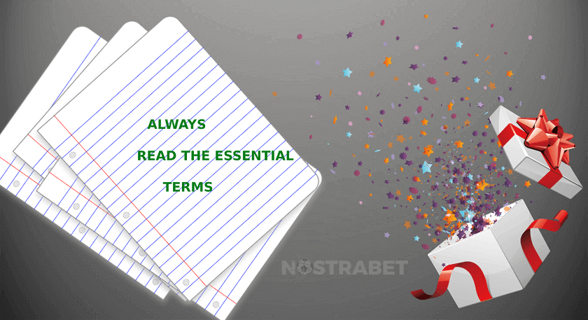 Read the essential bonus terms