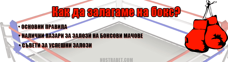 Как се залага на боксови мачове