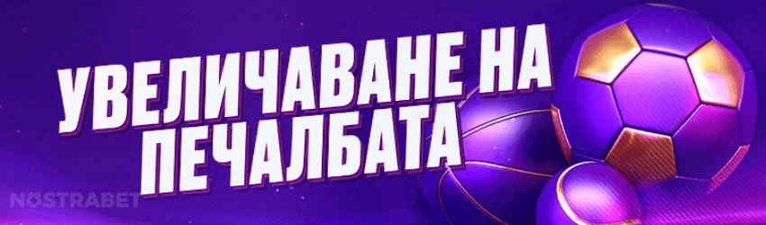 Mr Bit бонус права колонка