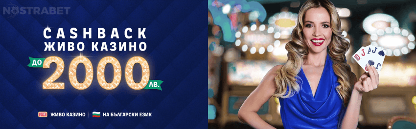 palmsbet live казино cashback