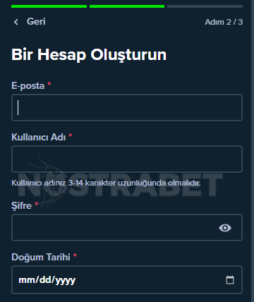 Stake kaydı
