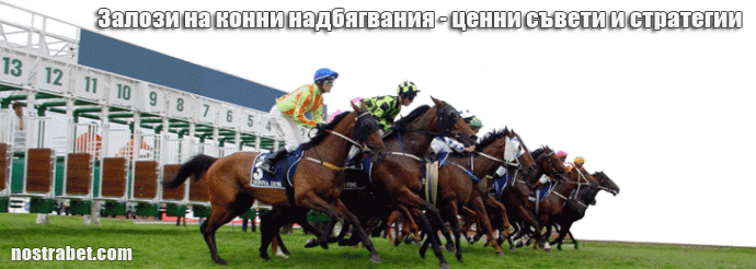 как да залагаме на конни надбягвания
